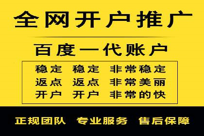 SEM广告投放策略案例分析